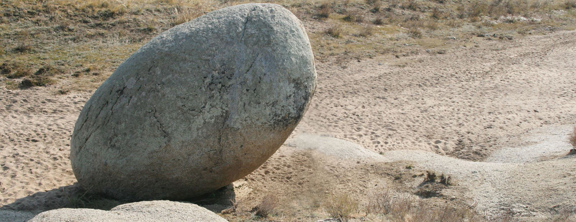 Бөөрөнхий сайр